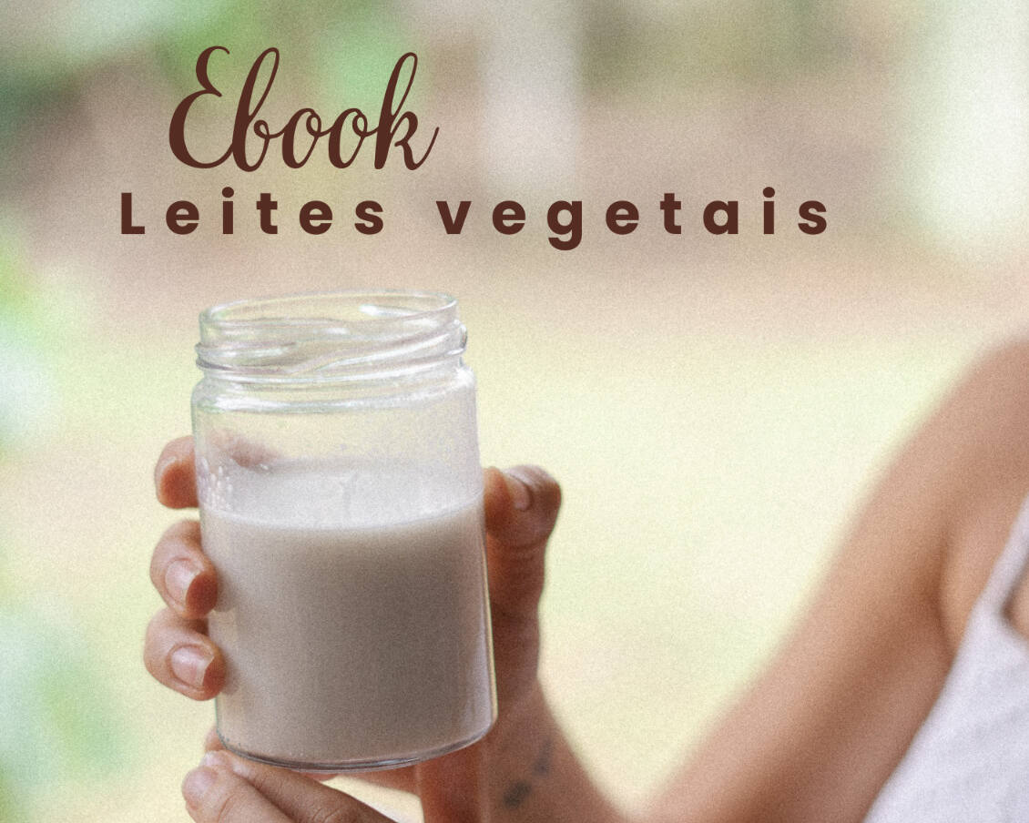 capa-produto-e-book-leites-vegetais-catarina-goldani